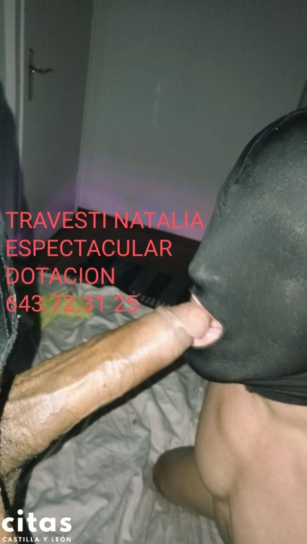 1740137897_19530284454