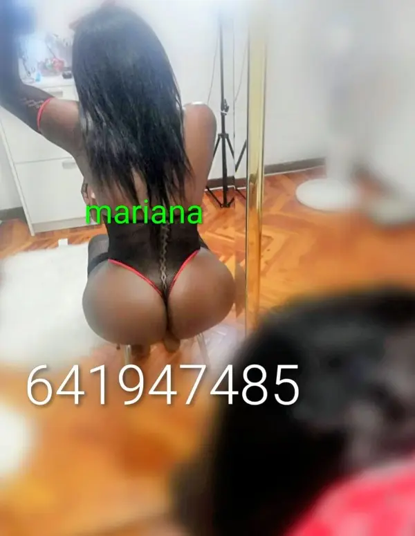 1772751209_3497582022