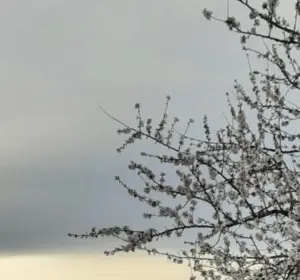 Screenshot_20261025_103625_Gallery