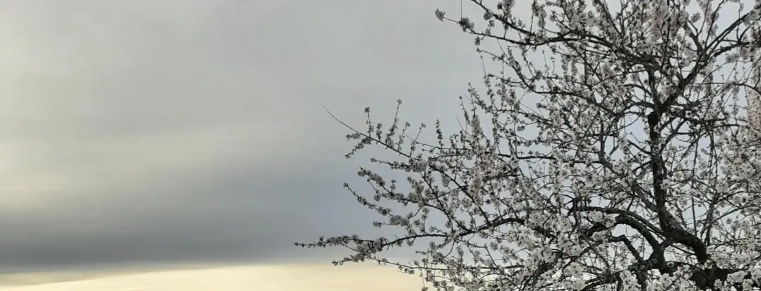 Screenshot_20261025_103625_Gallery